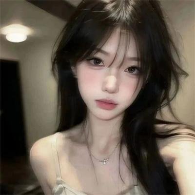犬之力